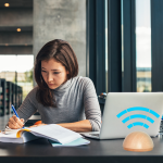 RayGuard® Dome Pino Cembro protezione da elettrosmog